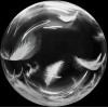 Шар Сфера Deco Bubble 18"/46см Белые перья, Кристалл