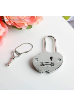 Замок свадебный с ключом "Ты + Я = Семья" 5*7 см