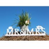 Надпись для фото "Mr+Ms" 39,5*10см (дерево)